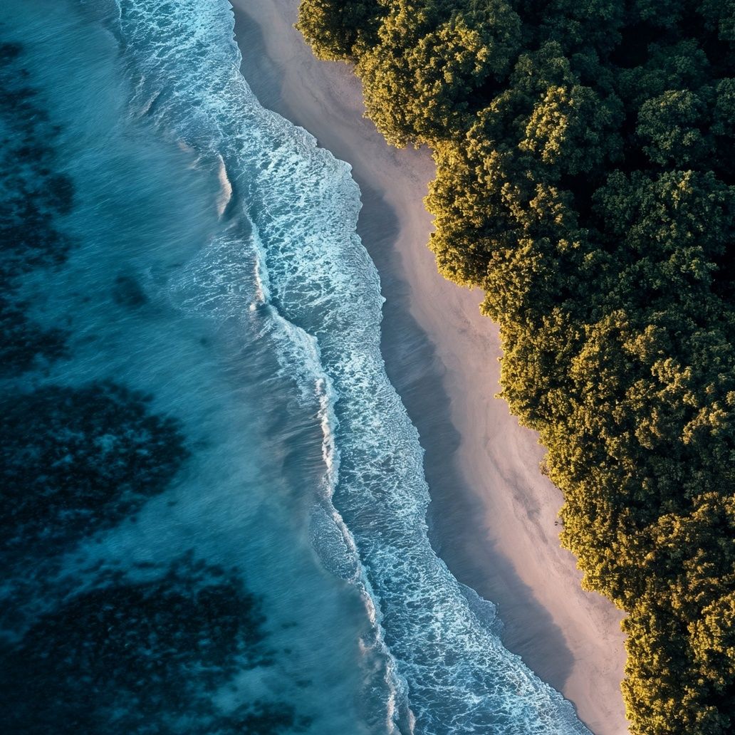 Aerial Tropical Beach Art Print Close-up