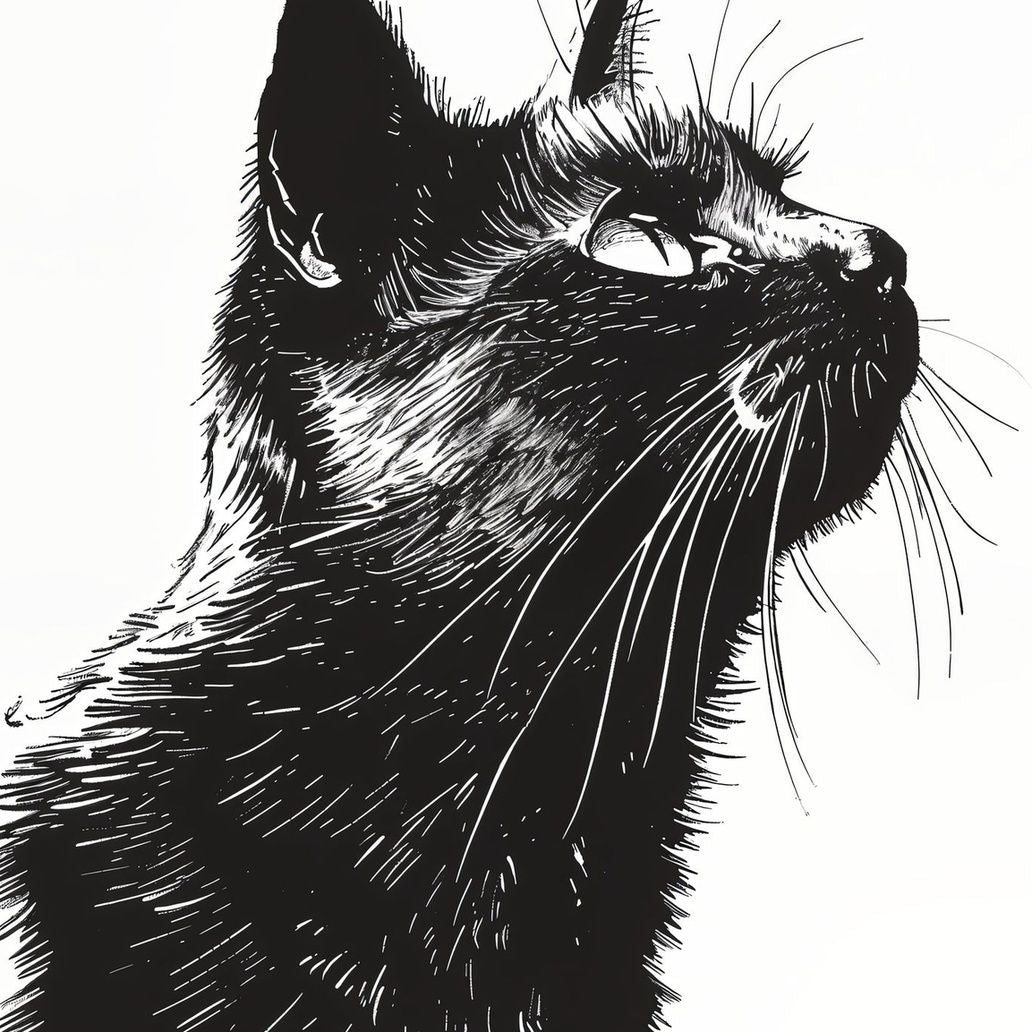 Detailed Cat Sketch Art Print Close-up