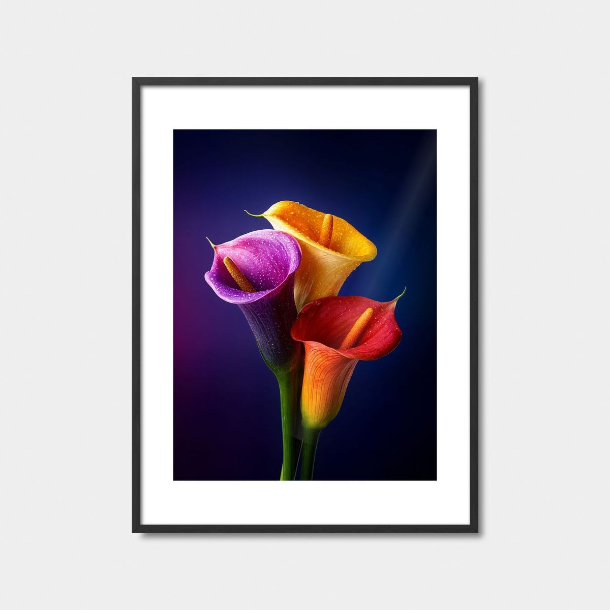 Three Calla Lilies In Bloom Art Print Feature Image